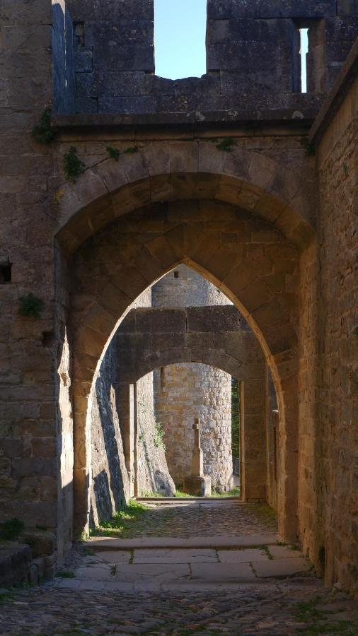 Отель Ibis Carcassonne Est La Cite Экстерьер фото